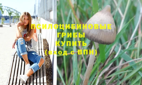 MDMA Premium VHQ Карталы
