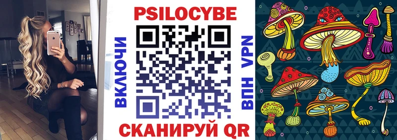 hydra как зайти  Каспийск  Псилоцибиновые грибы GOLDEN TEACHER  продажа наркотиков 