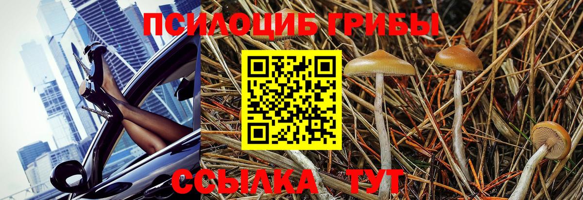 Галлюциногенные грибы прущие грибы Каспийск