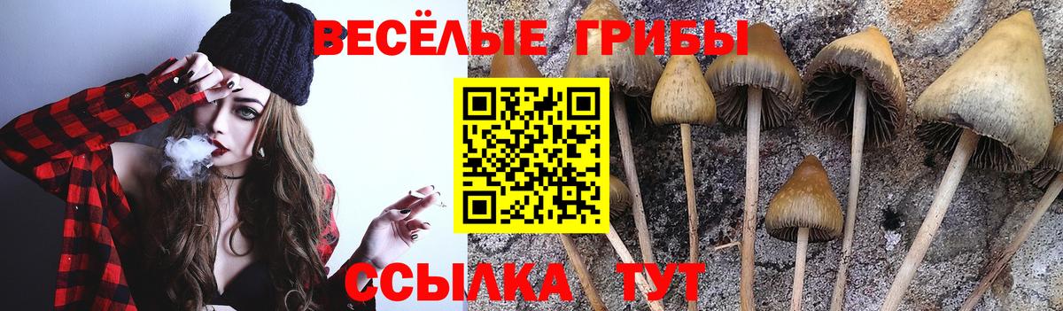 цена наркотик  Псилоцибиновые грибы Psilocybine cubensis  Вход с VPN  Галлюциногенные грибы Psilocybe  Каспийск 