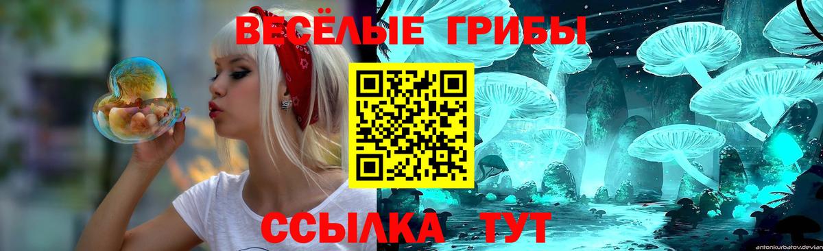 Галлюциногенные грибы мухоморы Каспийск