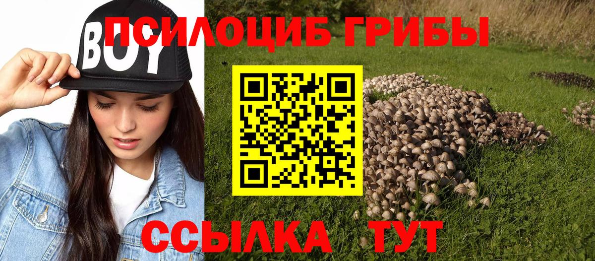 Галлюциногенные грибы Magic Shrooms  Каспийск 