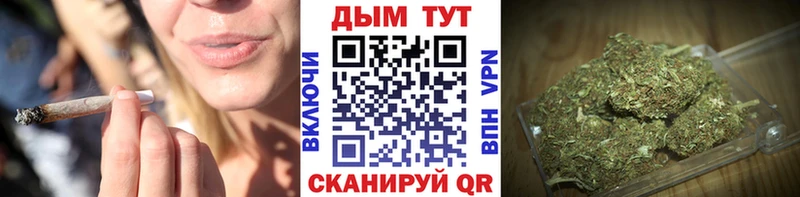 купить закладку Каспийск Каннабис Amnesia